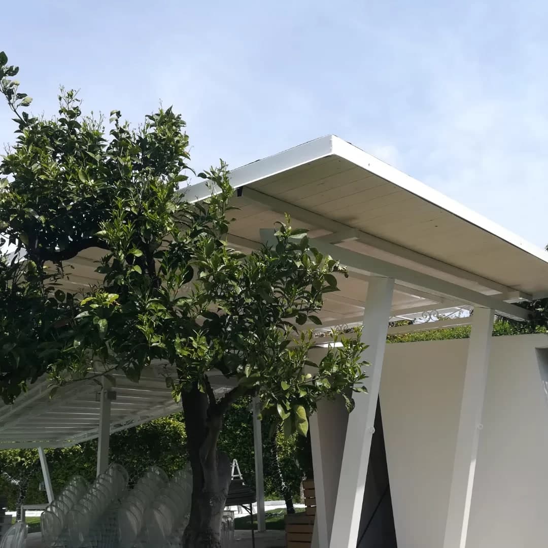 Da sotto un albero di agrumi, il bordo bianco della pergola e il tavolato bianco visto da sotto, con la trave e i montanti inclinati; a destra un muro bianco.